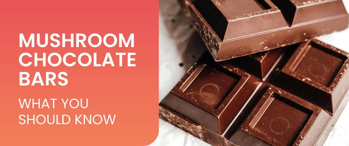 Psychedelic Mushroom Chocolate Bars