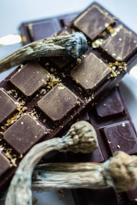 Where to Buy Mushroom Chocolate Bars