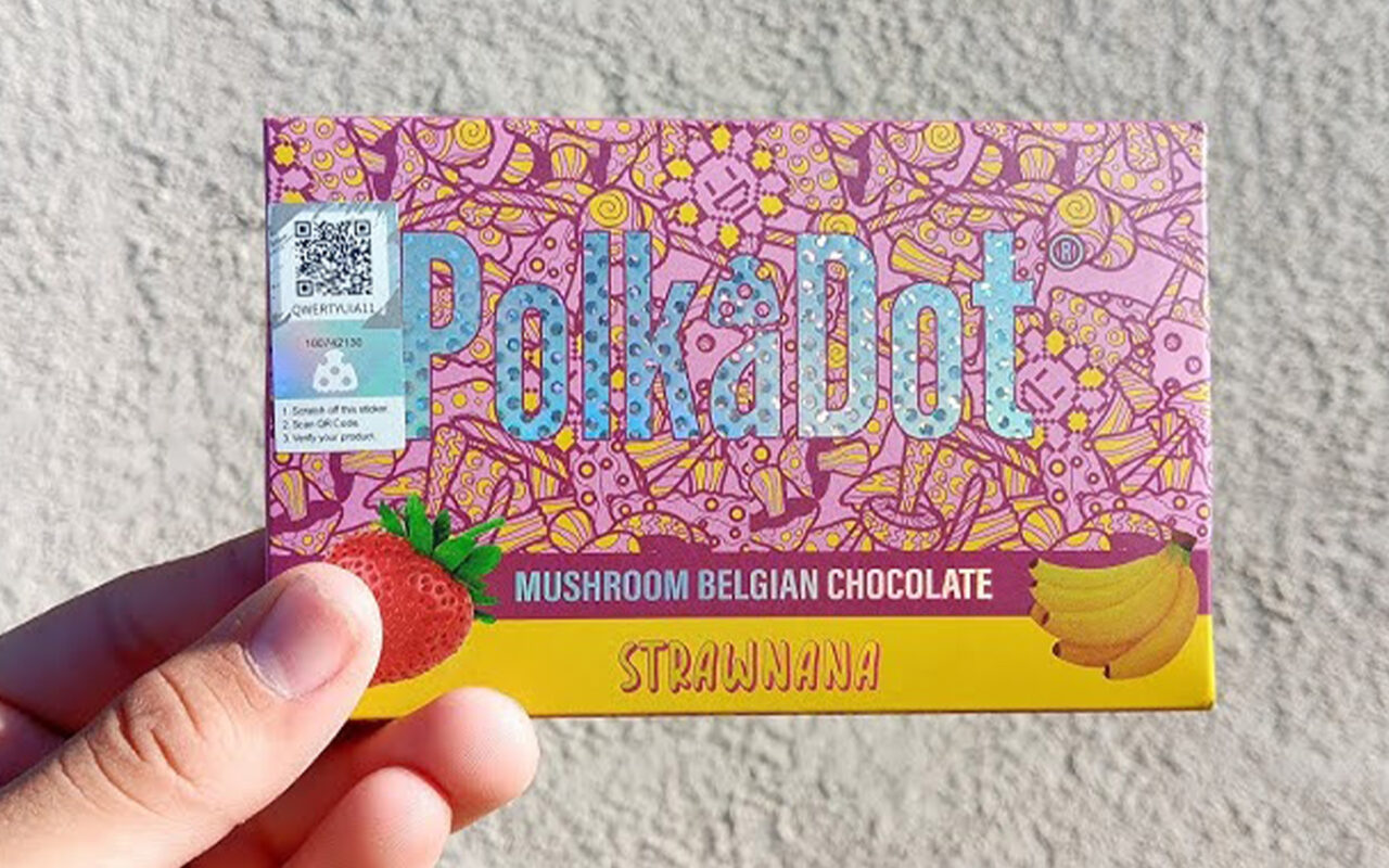 PolkaDot Chocolate Mushroom Bars